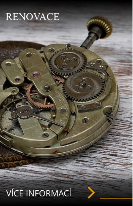 RENOVACE VÍCE INFORMACÍ