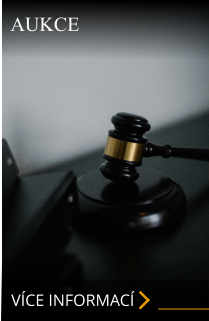 VÍCE INFORMACÍ AUKCE